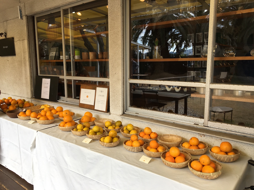 店の外では、島でとれた無農薬柑橘系フルーツが販売されている