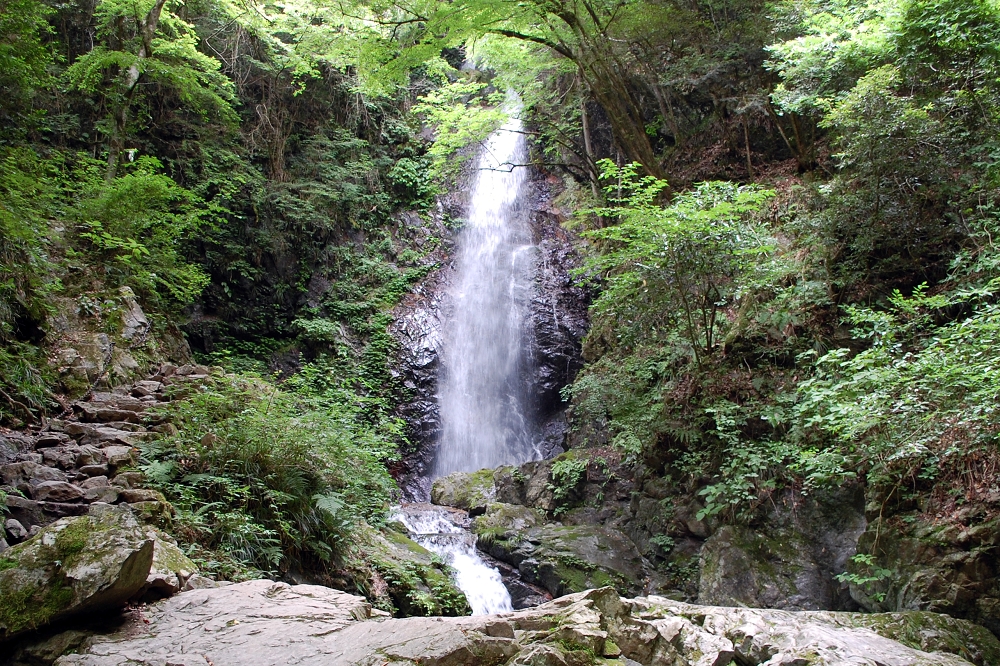 最下段の滝の落差は約23.3ｍ。険しい岩肌と深い緑に覆われた払沢の滝は、息を呑む美しさを見せる