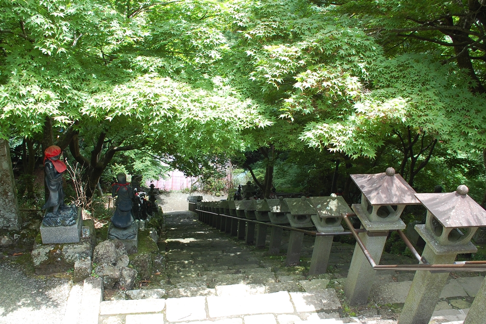 石段を覆う緑のアーチ。大山寺の周辺は紅葉の名所としても知られている