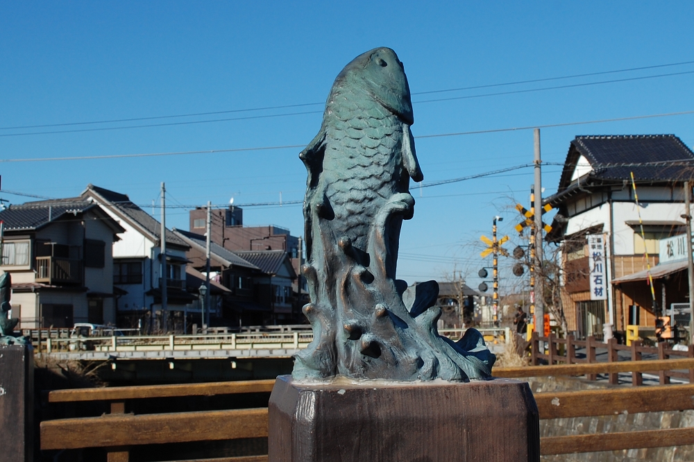 小野川にかかる幸運橋の欄干に設けられた鯉の像。船頭さん曰く、なでると金運がアップするそう