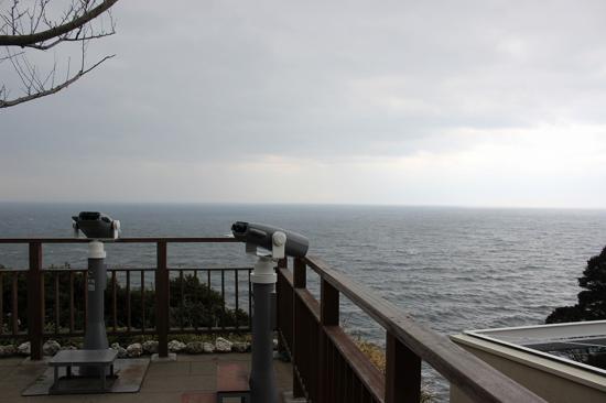 あいにくの曇り空でしたが、江ノ島の頂上から望む景色は格別！