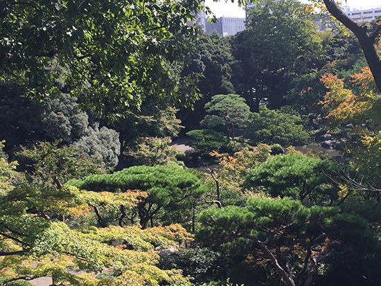 こちらも見事な日本庭園
