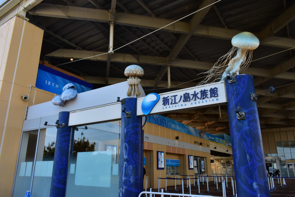 ゲートには大きなクラゲの姿も。広々とした正面広場が出迎える「新江ノ島水族館」
