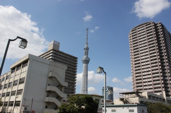 ビルの間にスクッとそびえる東京スカイツリー
