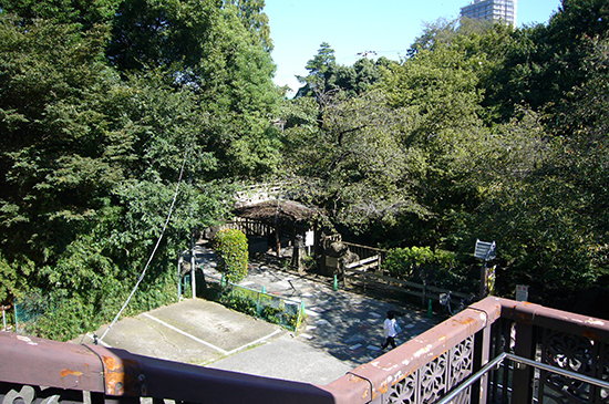 王子神社そばの階段を下ると「音無親水公園」があります