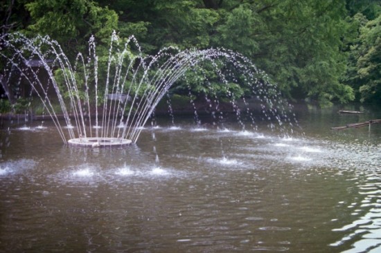大宮公園の噴水を見ながら一休み
