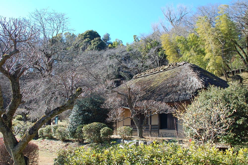 江戸時代に建てられた2棟の古民家が移築されている。画像は薬師池の西側にある「旧永井家住宅」で、国の重要有形文化財に指定されている